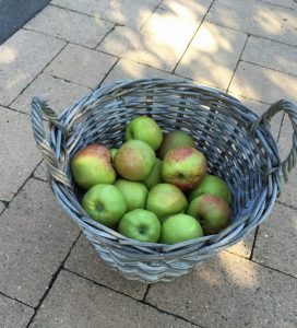Groene appels